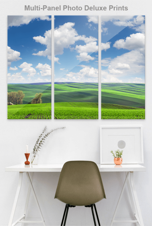 Photo deluxe, multi-panel wall mounted gloss photo