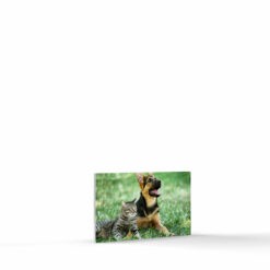 3x5 foamcore photo tile landscape format