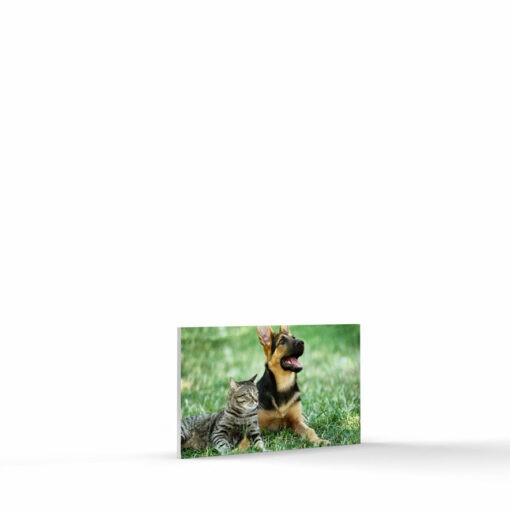 3x5 foamcore photo tile landscape format