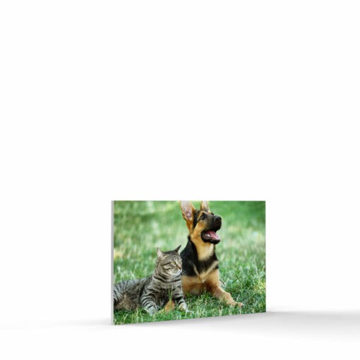 4x6 photo tile on foam core board landscape format