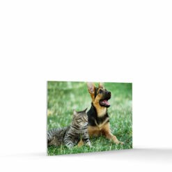 5x7 photo tile on foam core board landscape format