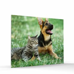 8x10 foam board photo tile for wall landscape format