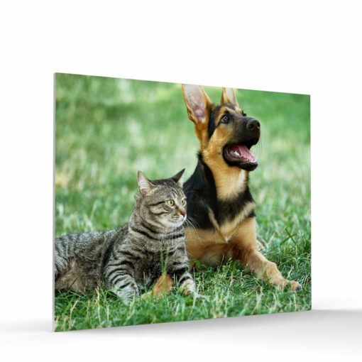 8x10 foam board photo tile for wall landscape format